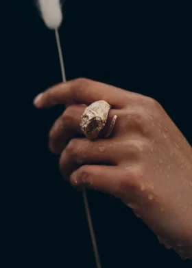 Anillo Eroz, edición chapada en oro de 24 quilates