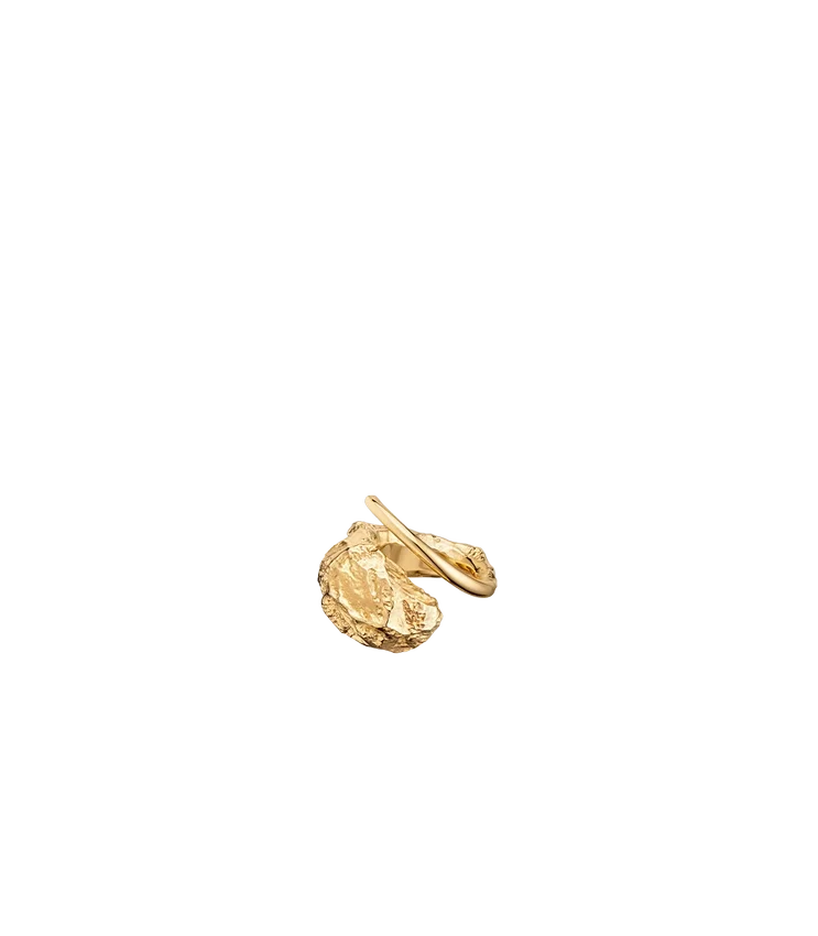 Anillo Eroz, edición chapada en oro de 24 quilates